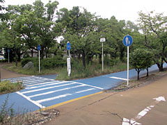 緑陰道路