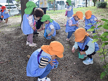 お散歩