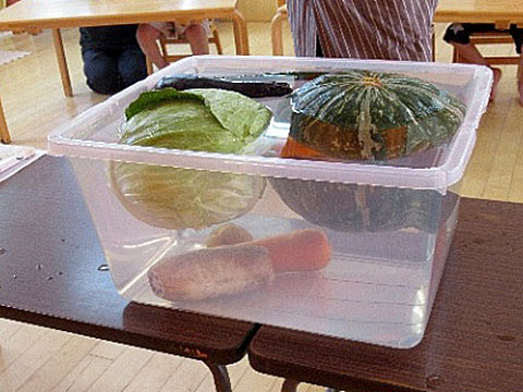 この野菜は浮く?沈む?